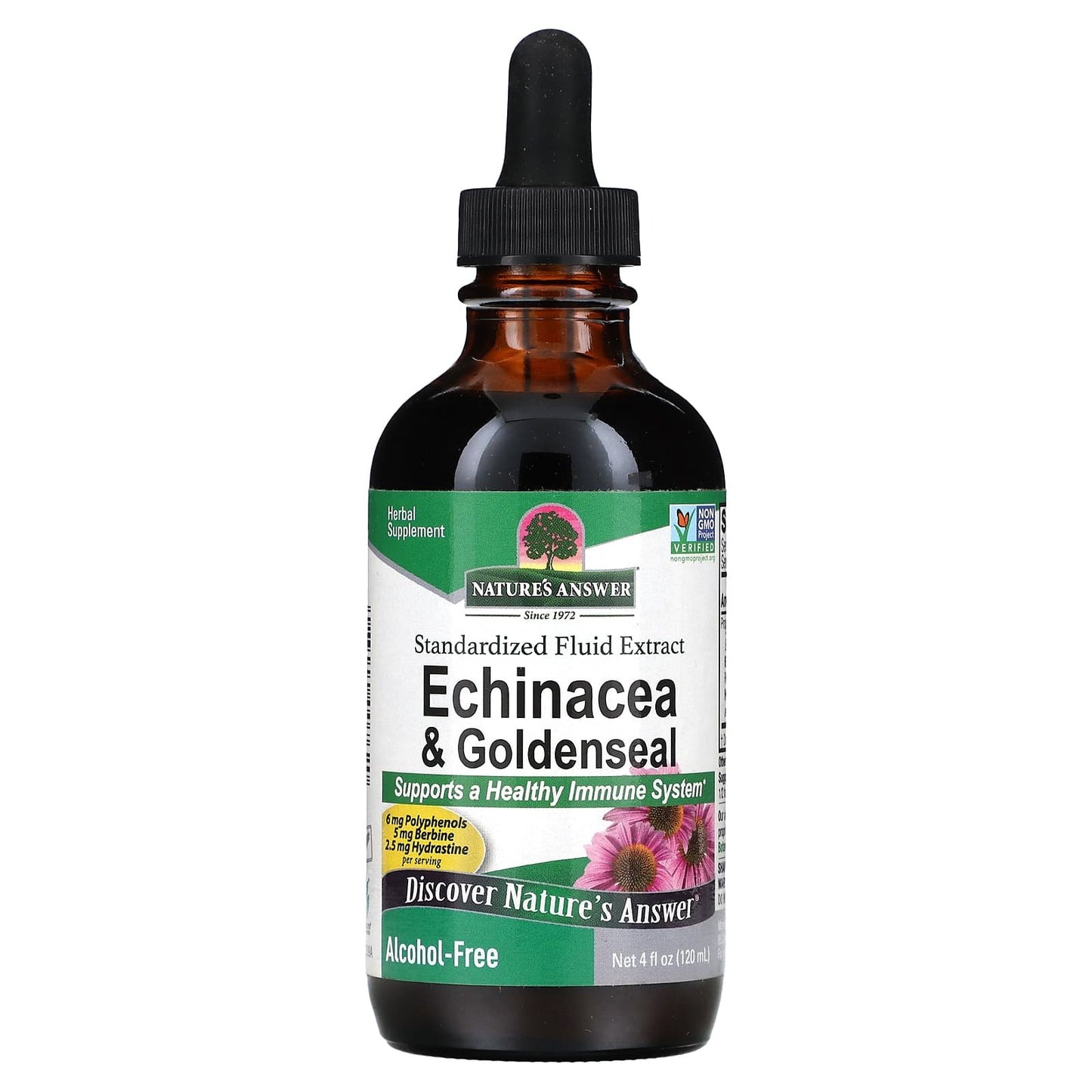 Nature's Answer, Echinacea & Goldenseal, Alcohol-Free, 4 fl oz (120 ml) - Image 1