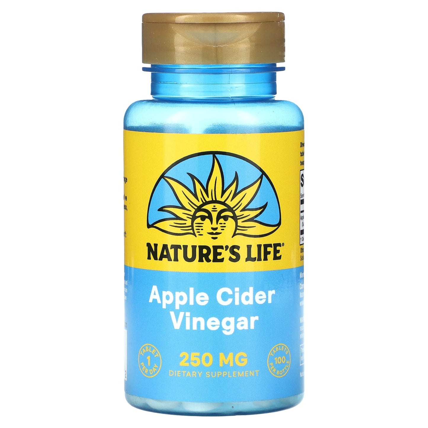 Nature's Life, Apple Cider Vinegar, 250 mg, 100 Tablets - Image 1