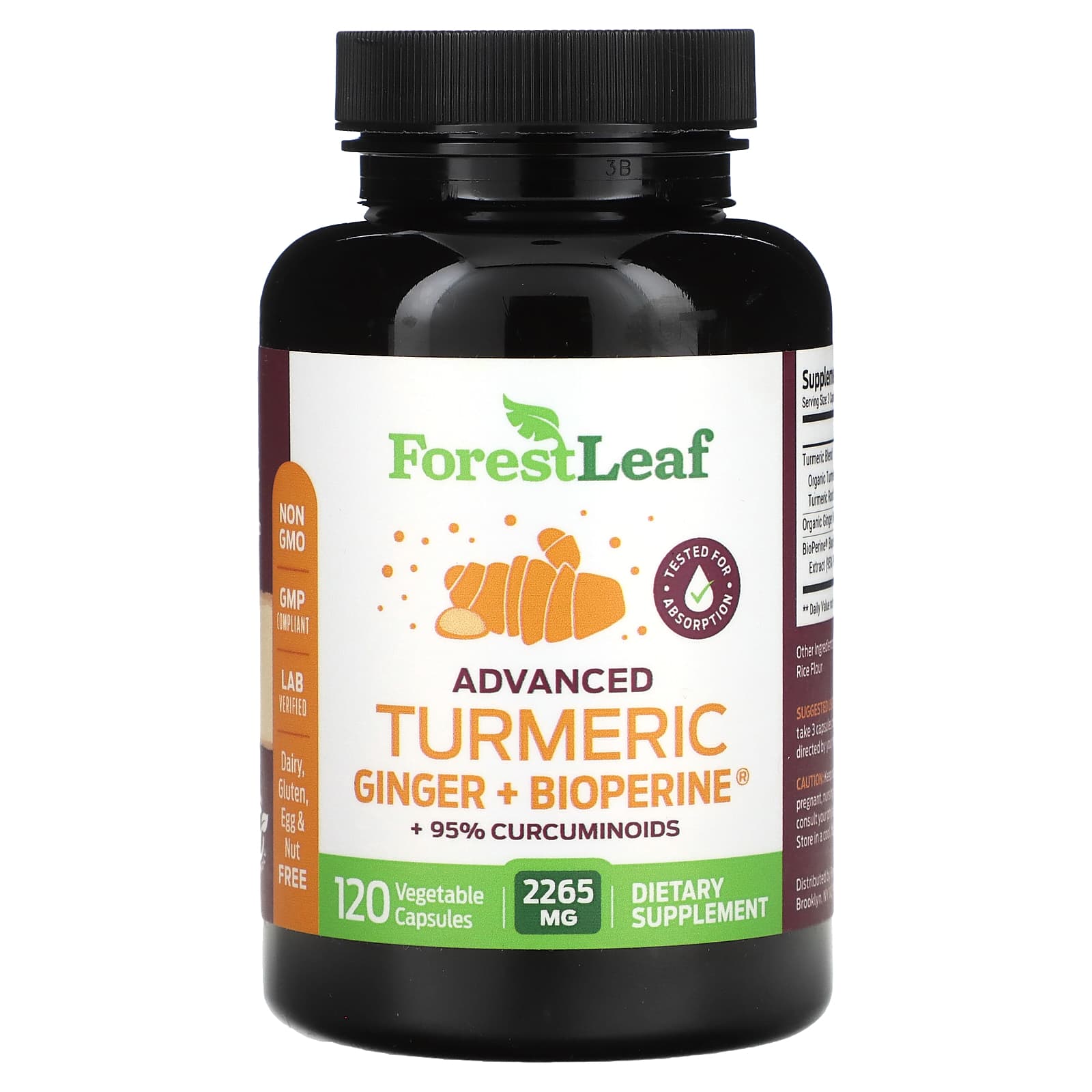 Advanced Turmeric Ginger + Bioperine Supplement for Joint Health & Wellness - Image 1