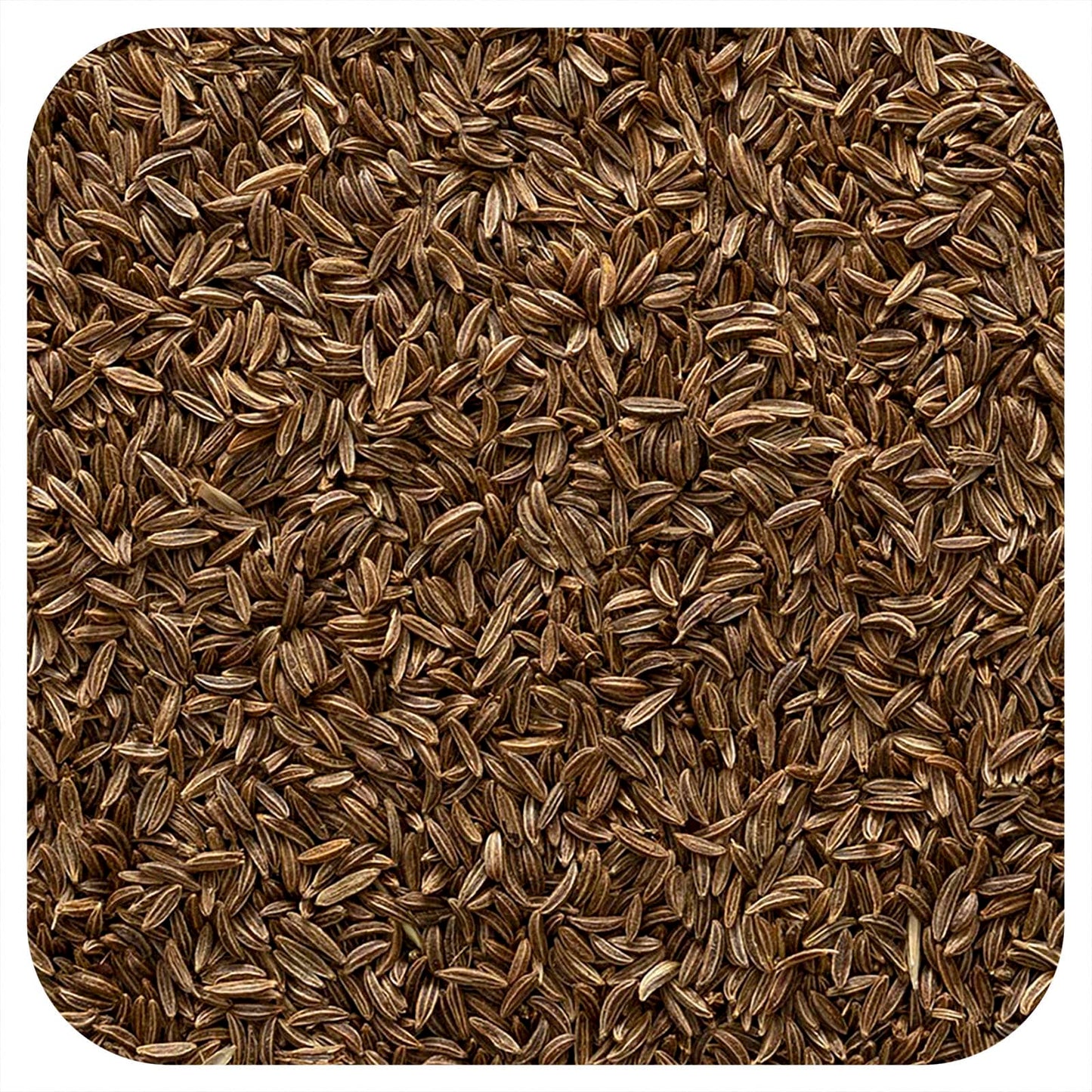 Whole Caraway Seeds, 100% Kosher & Non-Irradiated, 16 oz - Image 1