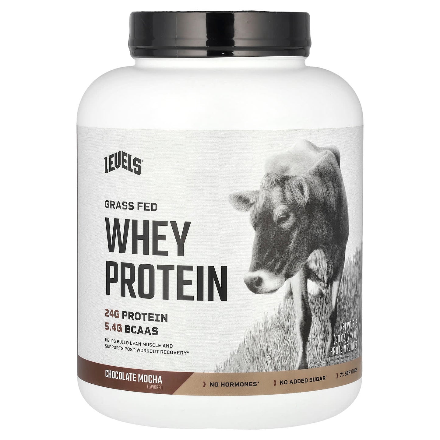 Levels, Grass Fed Whey Protein Powder, Chocolate Mocha, 5 lb (2.27 kg) - Image 1