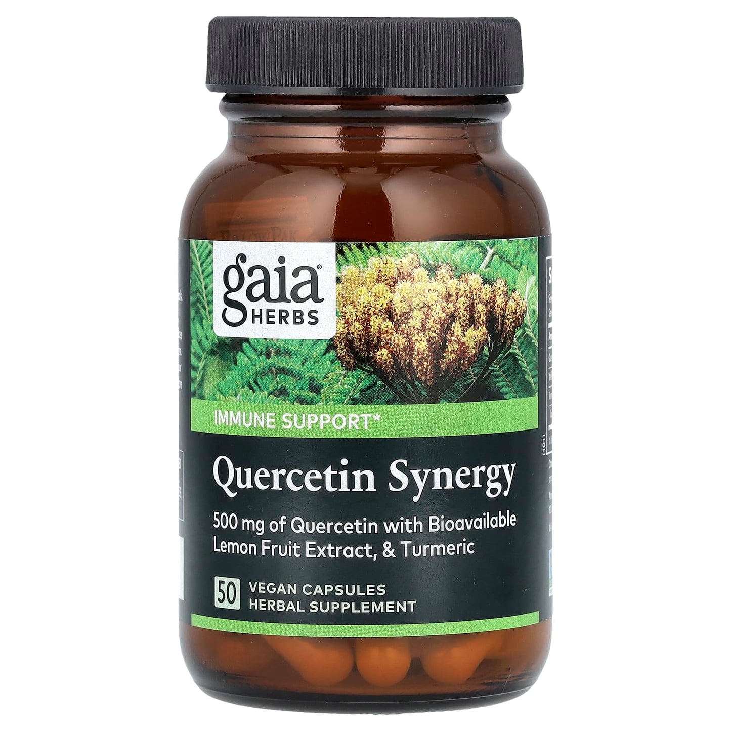 Gaia Herbs Quercetin Synergy for Immune Support, 50 Vegan Capsules - Image 1