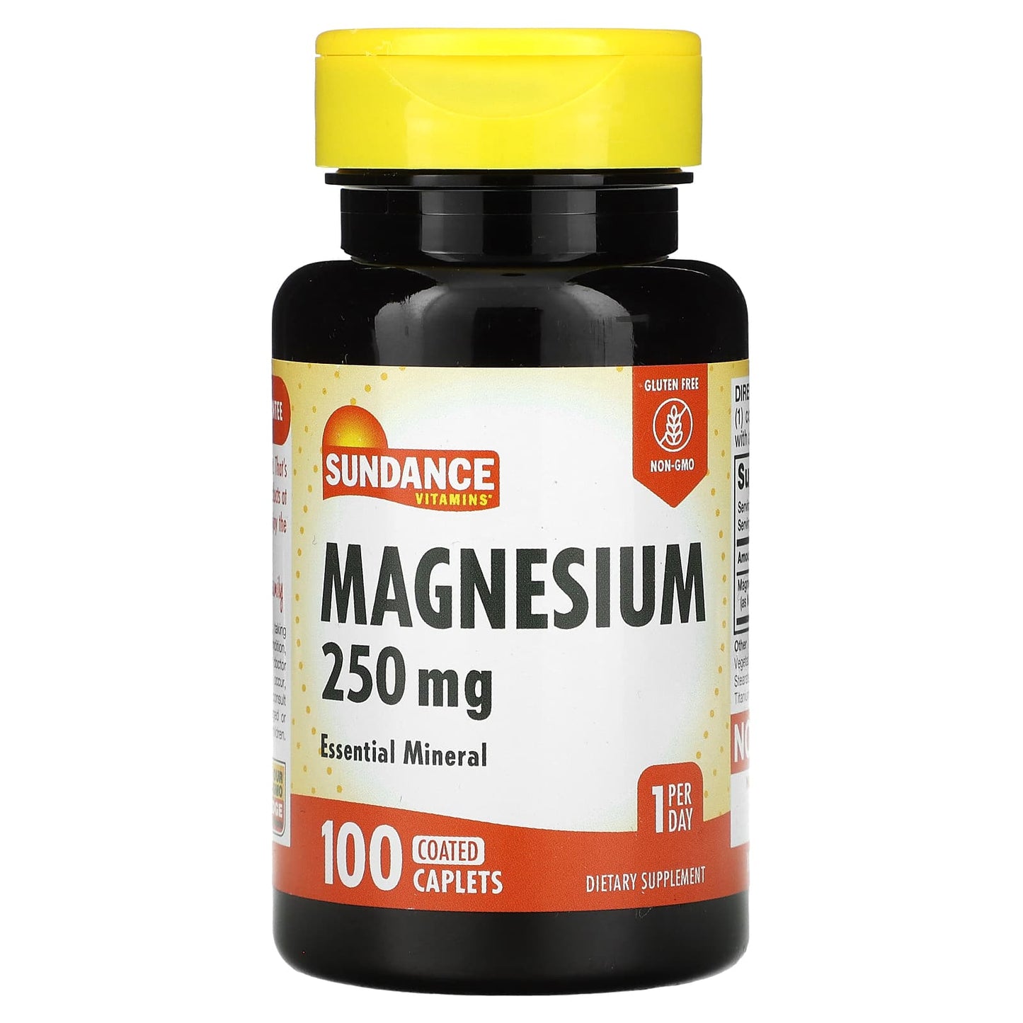 Sundance Vitamins, Magnesium, 250 mg, 100 Coated Caplets - Image 1