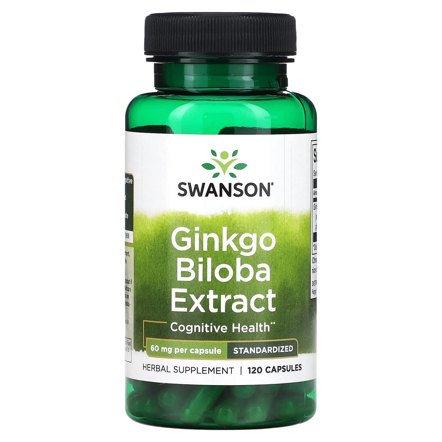 Swanson, Ginkgo Biloba Extract, 60 mg, 120 Capsules - Image 1