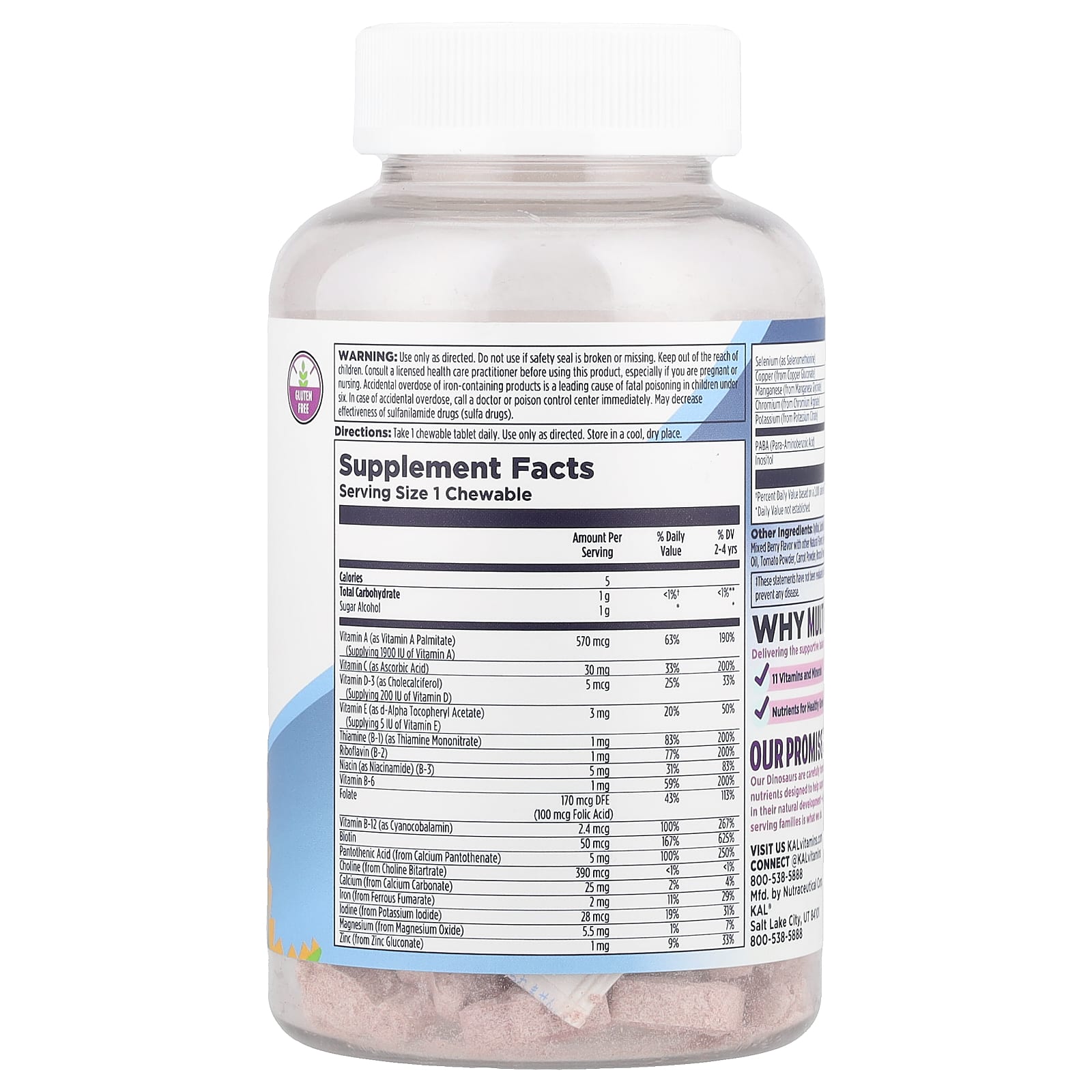 KAL, MultiSaurus®, Mixed Berry, 90 Chewables - Image 2