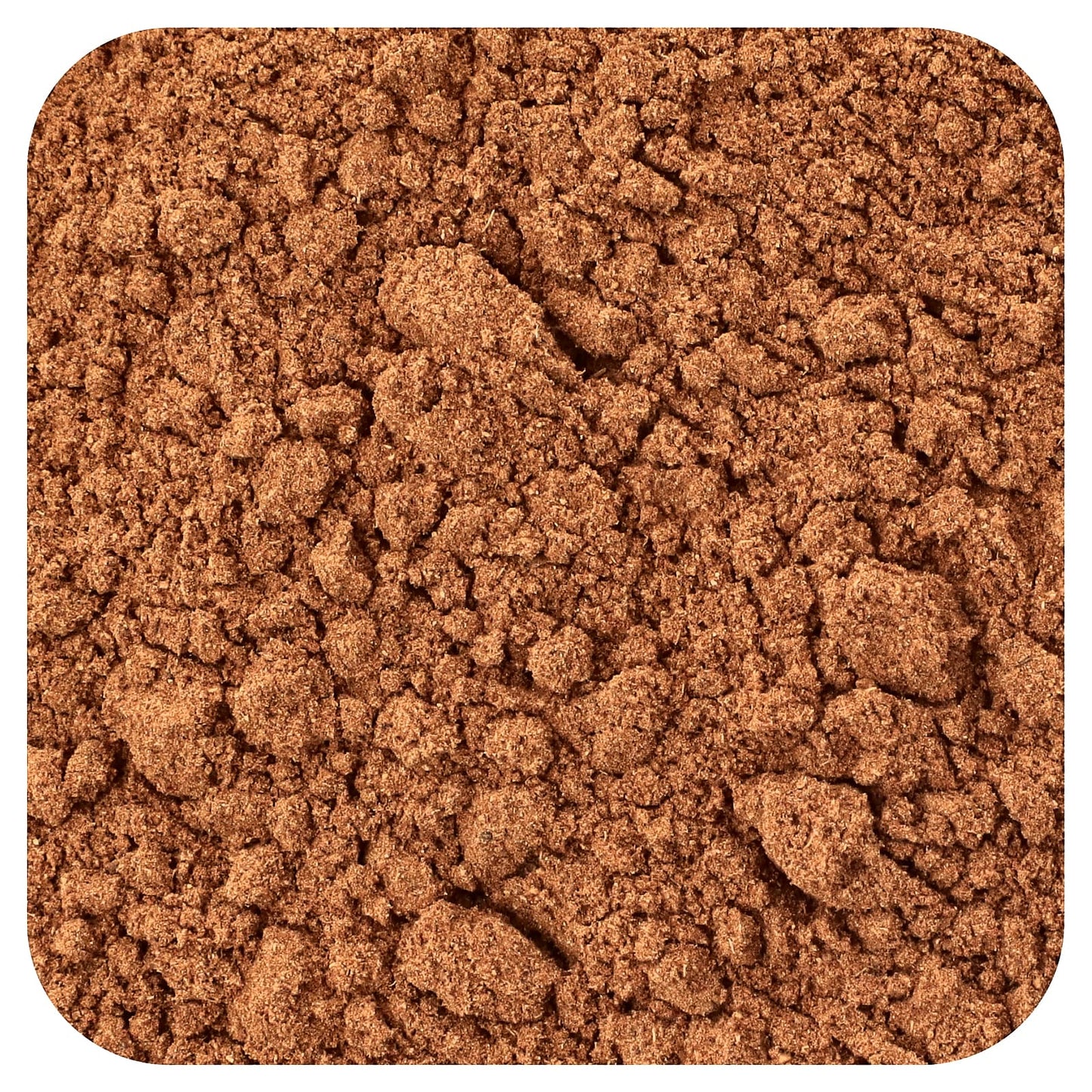 Organic Pumpkin Pie Spice Blend by Frontier Co-op, 16 oz - Image 1
