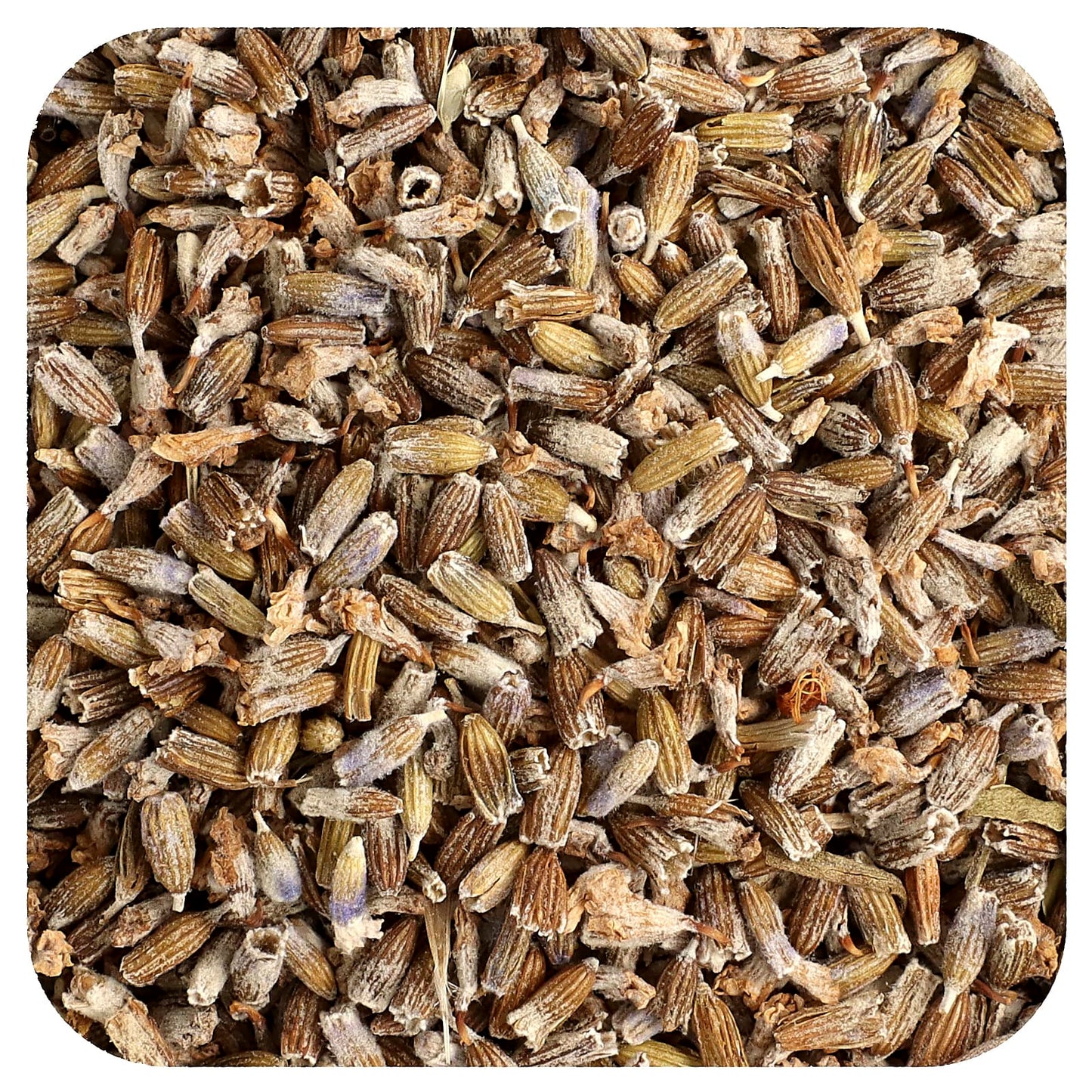 Frontier Co-op Organic Whole Lavender Flowers for Relaxation and Balance - Image 1