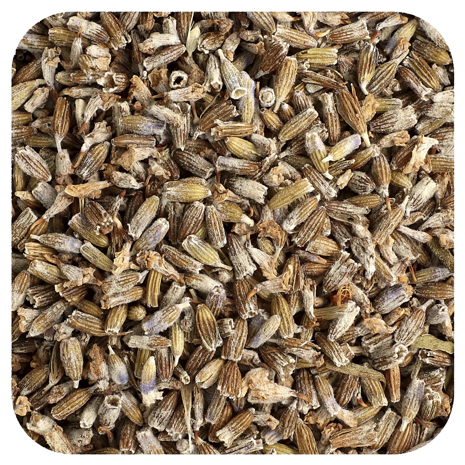 Frontier Co-op Organic Whole Lavender Flowers for Relaxation and Balance - Image 1