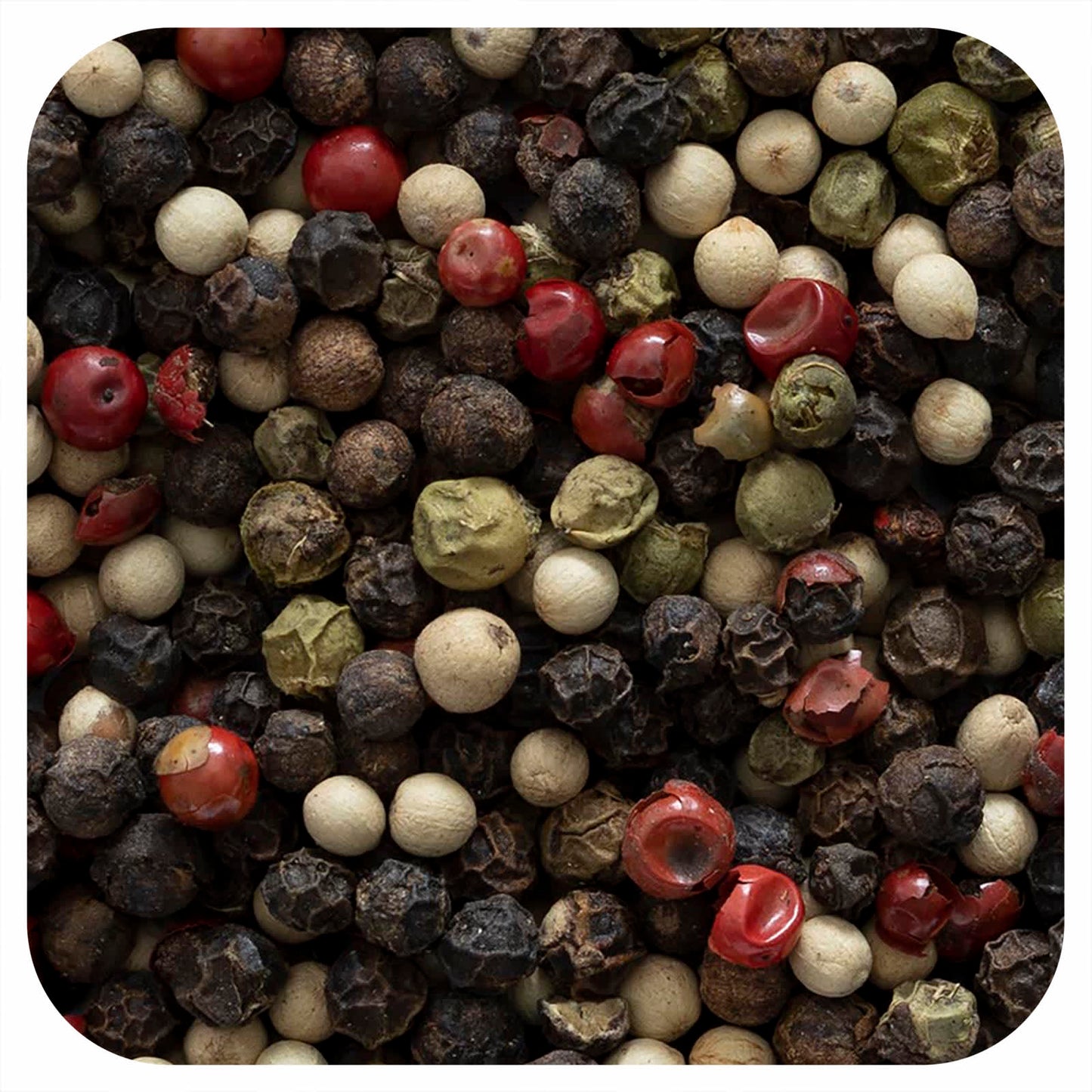 Frontier Co-op 4-Pepper Peppermill Blend, Gourmet Kitchen Seasoning, 16 oz - Image 1