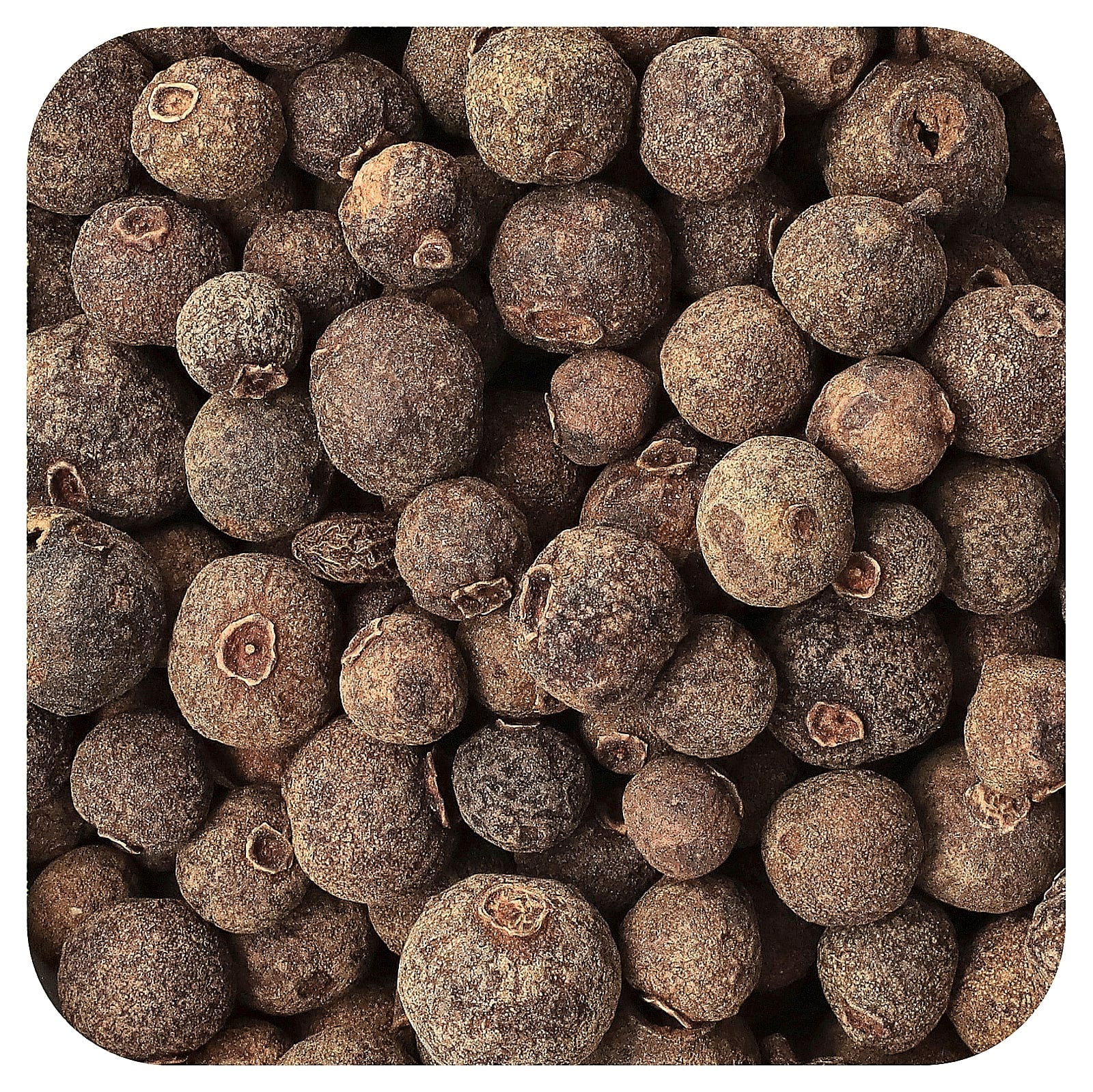 Organic Allspice by Frontier Co-op, 16 oz (453 g) - Image 1