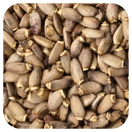 <strong>Organic Milk Thistle Seed Supplement by Frontier Co-op</strong> - Image 1