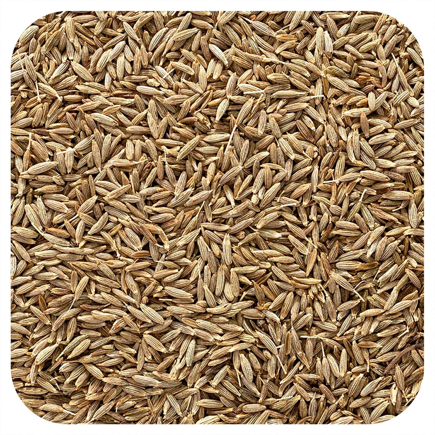 Organic Whole Cumin Seeds by Frontier Co-op - High-Quality USDA - Image 1