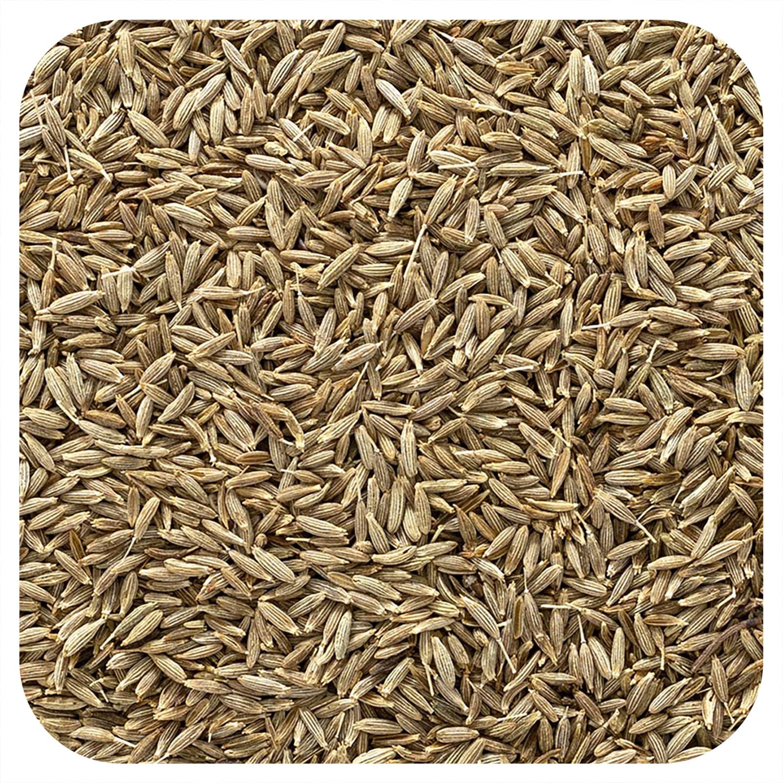 Organic Whole Cumin Seeds by Frontier Co-op - High-Quality USDA - Image 1