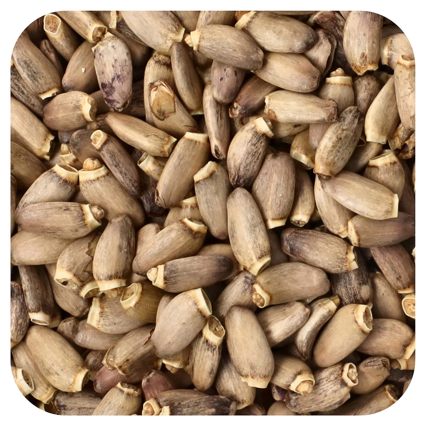 <strong>Organic Milk Thistle Seed Supplement by Frontier Co-op</strong> - Image 1