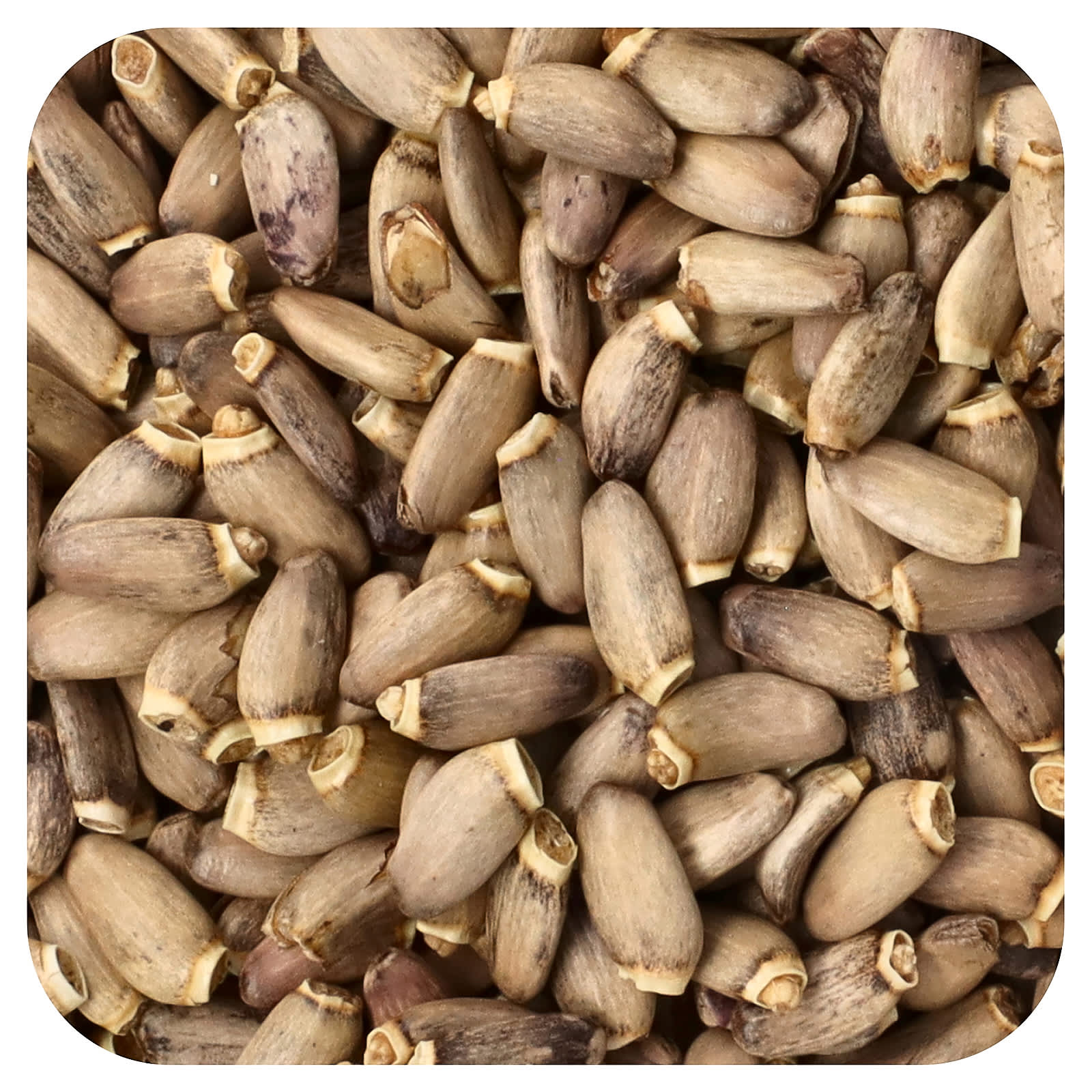 <strong>Organic Milk Thistle Seed Supplement by Frontier Co-op</strong> - Image 1